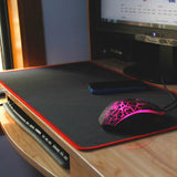 EK Gaming mouse pad XL